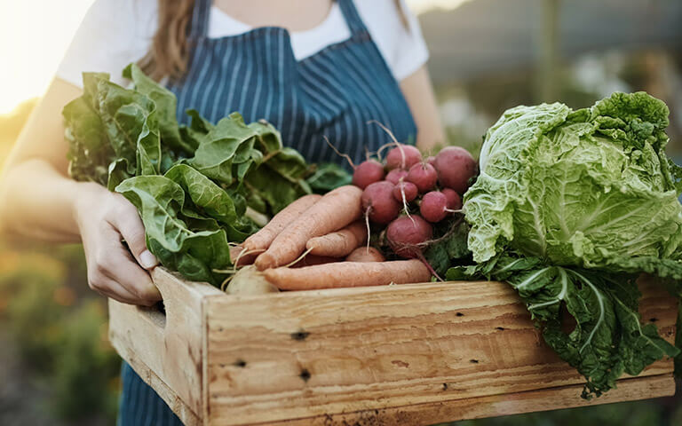 metier-agrifournitures-agricultures
